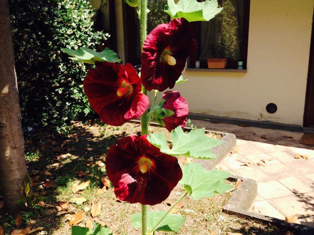 La Casa Di Scarlett Bed and Breakfast Φλωρεντία Εξωτερικό φωτογραφία
